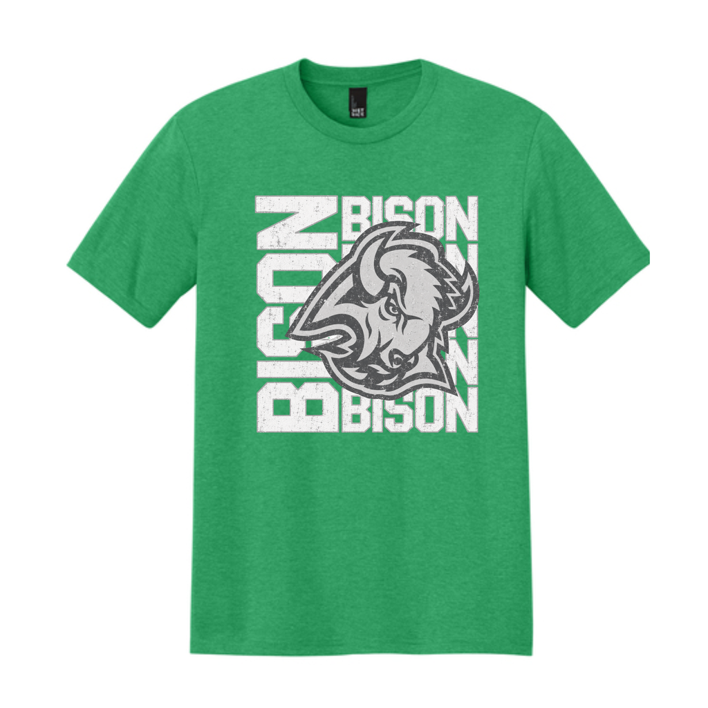 Design 17- Bison