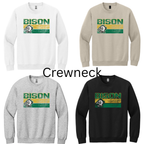 Bison 13- Green and Yellow Line